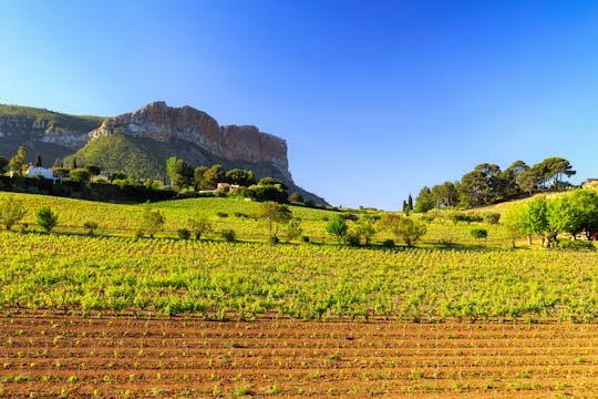 Tour du vin à Bandol et Cassis depuis Marseille