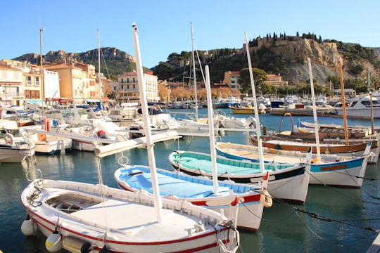 Marseille’s highlights full-day tour with wine tasting