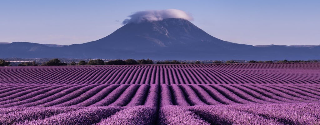 Passeio de lavanda para Valensole saindo de Marselha