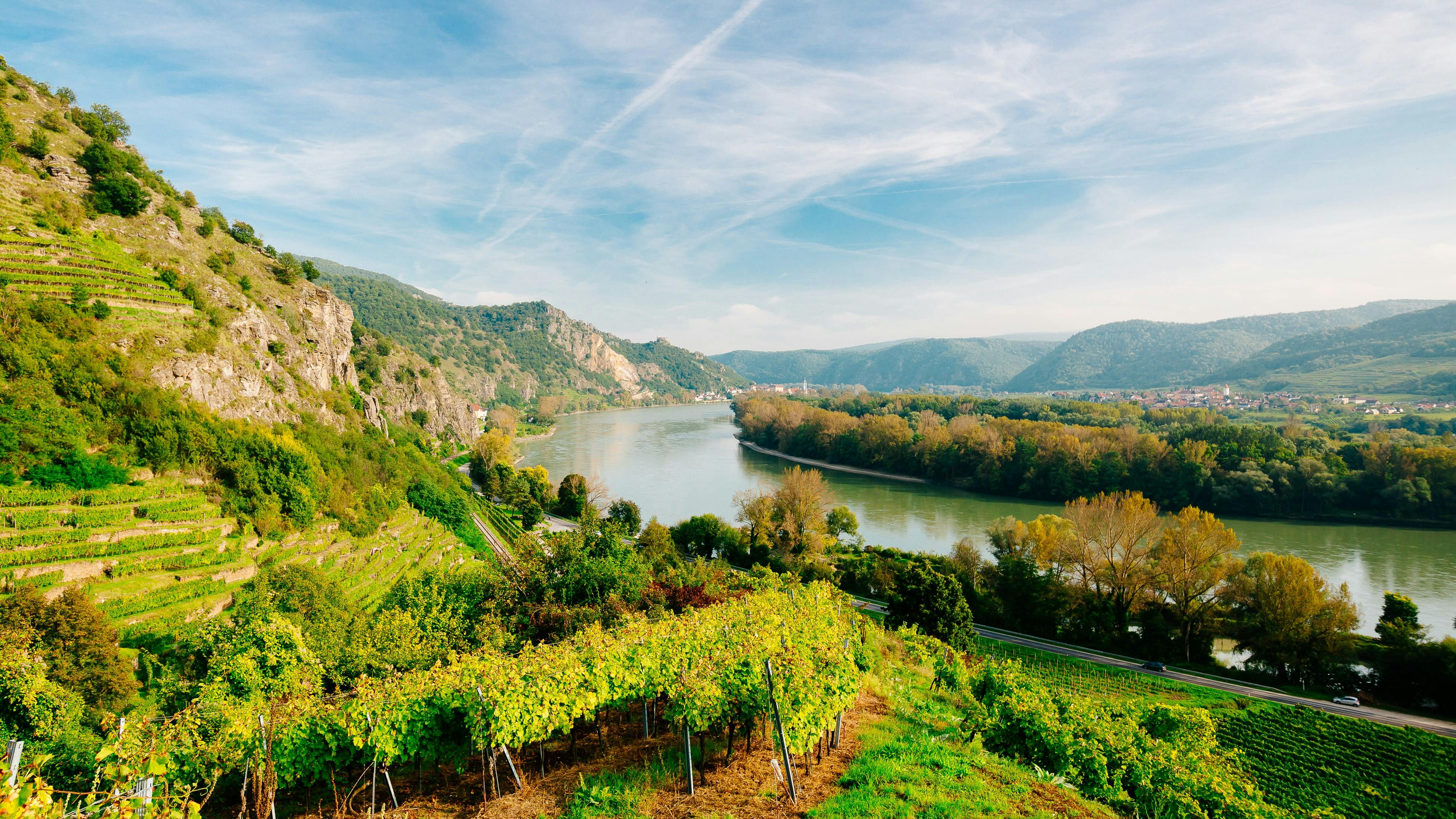 Wachau Valley Day Tour with Danube River Cruise Musement