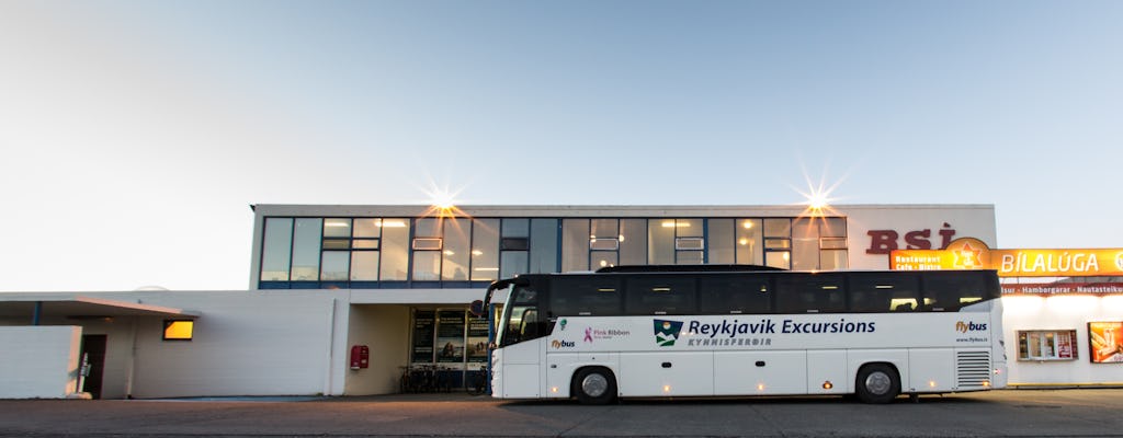 Transfer van de internationale luchthaven van Keflavik naar  je hotel