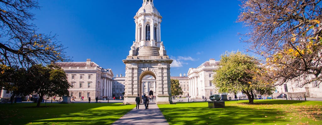 Visite à pied de Dublin avec un guide italien