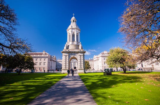 Visite à pied de Dublin avec un guide italien