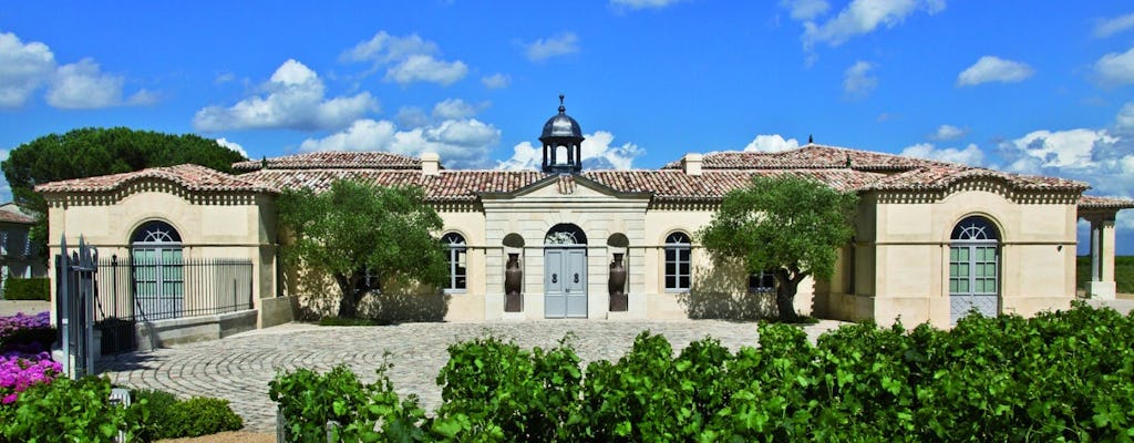 Tour del vino di un'intera giornata a Saint Emilion da Bordeaux