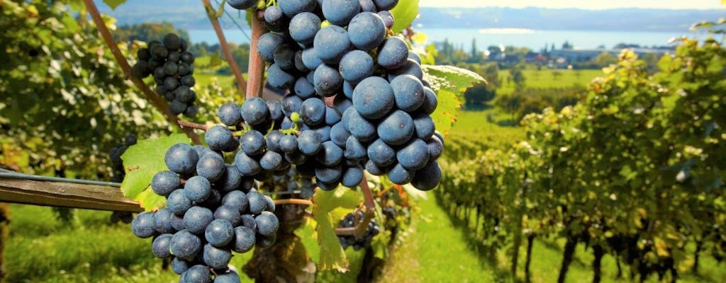 Tour del vino di un'intera giornata nella regione del Medoc