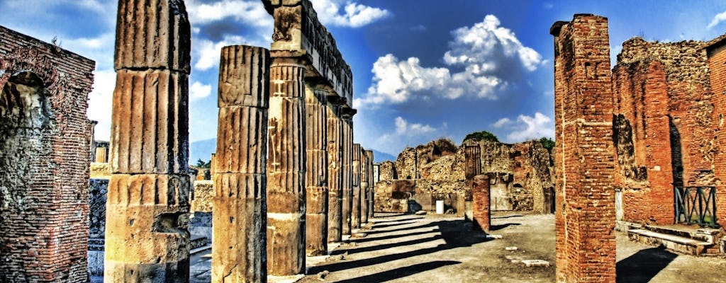 Tour privado de um dia inteiro pela Pompeia, por Sorrento e por Positano