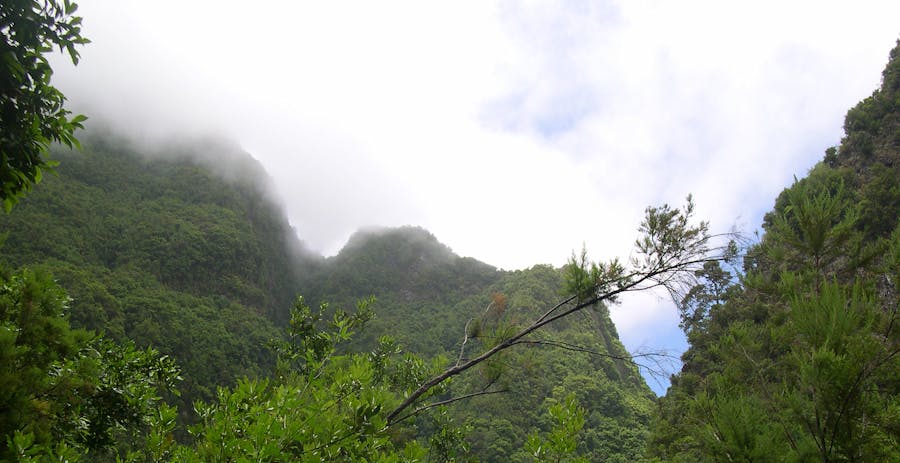 Mindo Cloud Forest day tour