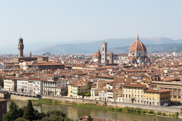 Half-day Florence highlights walking tour and Accademia skip-the-line tickets