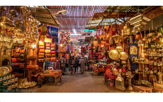 Marrakech full-day guided city highlights tour