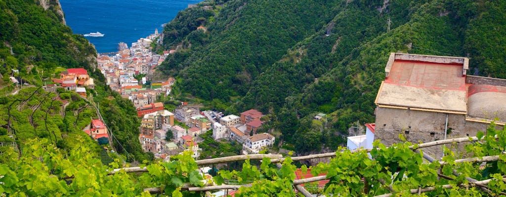 Tour della Costiera Amalfitana con pranzo in fattoria