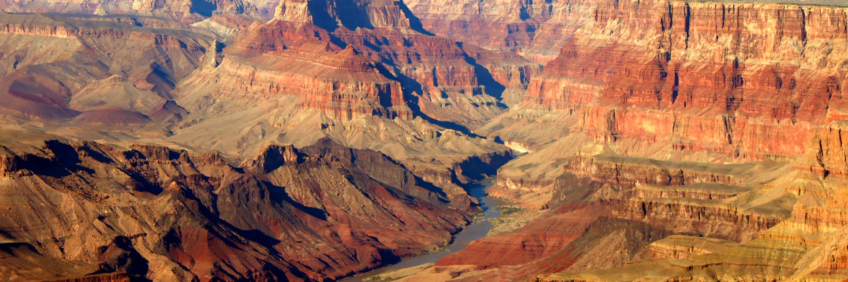 Grand Canyon South Rim scenery near Tusayan (image from Musement)