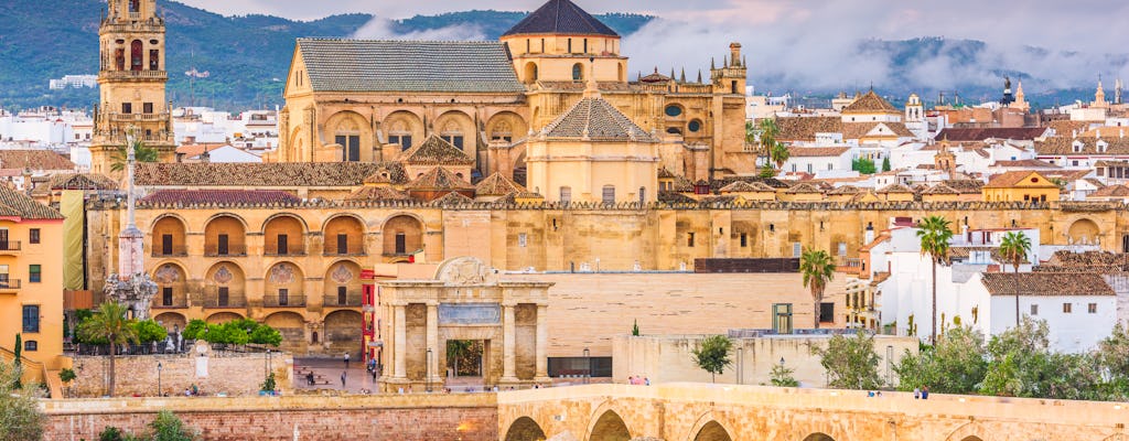 Guided tour of the Cathedral-Mosque of Córdoba