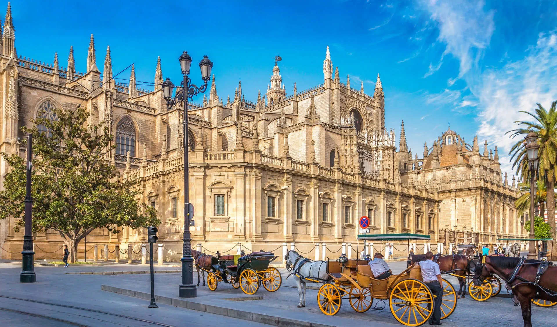 Seville's Cathedral