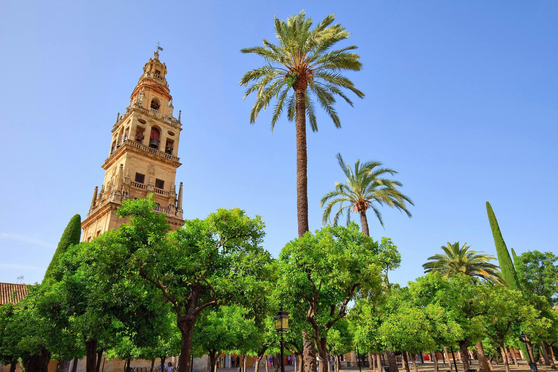 Tour relaxante dos monumentos de Córdoba