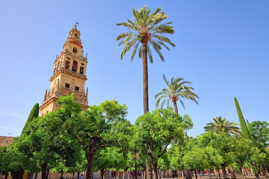 Visite des monuments majeurs de Cordoue