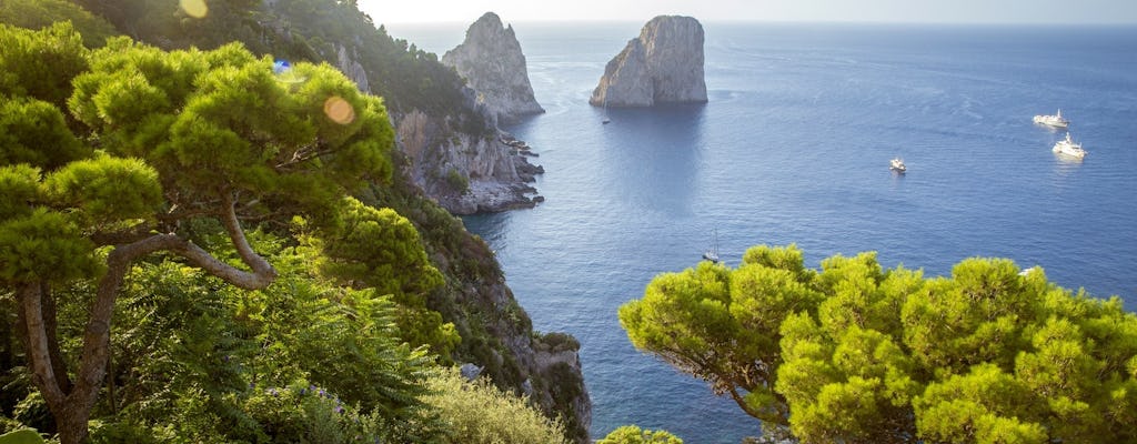 Boat tour of the Sorrento Coast and Capri from Amalfi