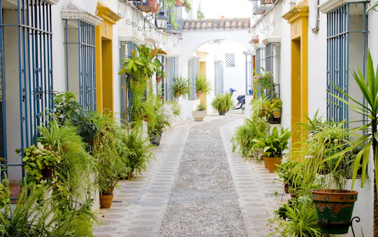 Córdoba courtyards festival guided tour