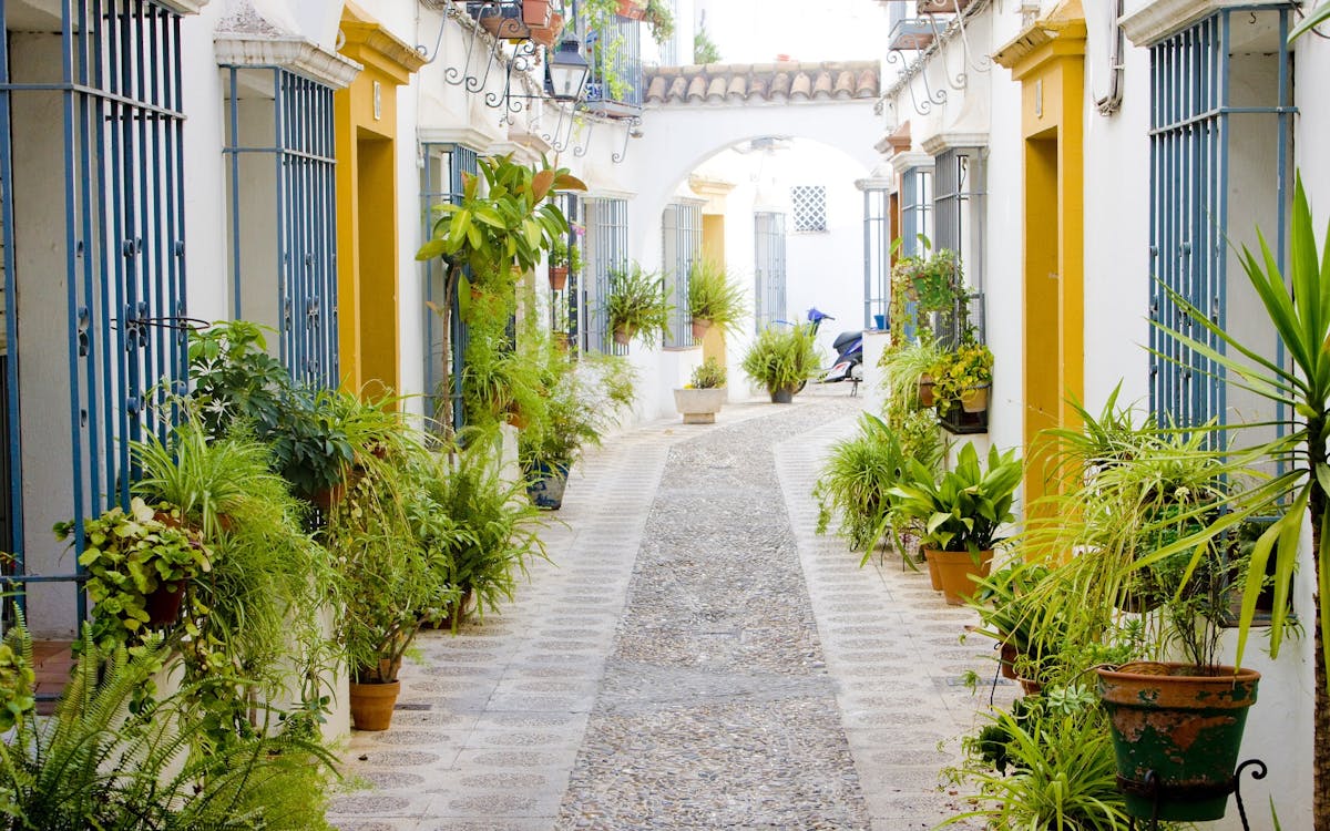 Córdoba binnenplaatsen festival rondleiding