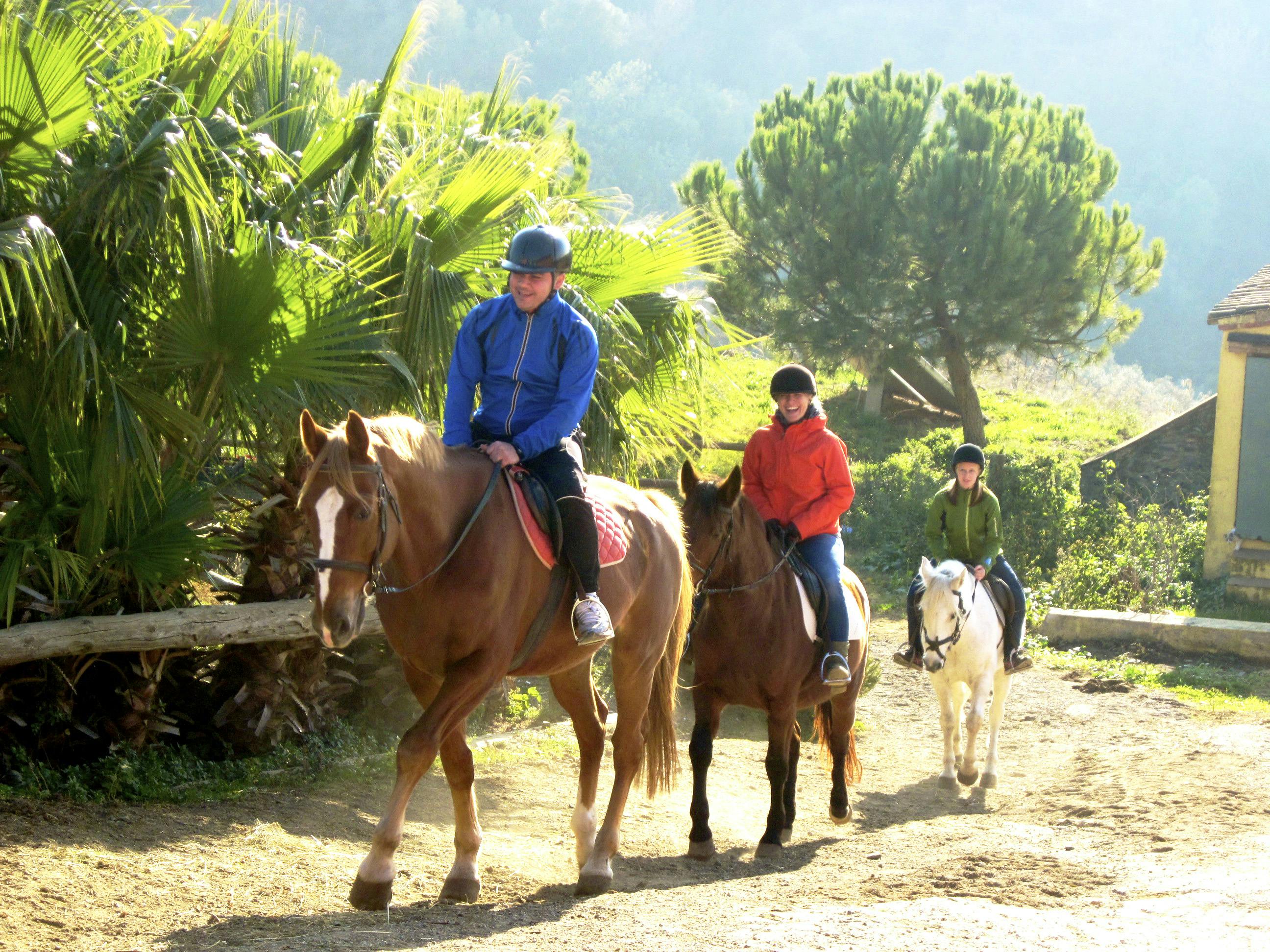 Horse riding in Spain. Horse riding in Georgia.