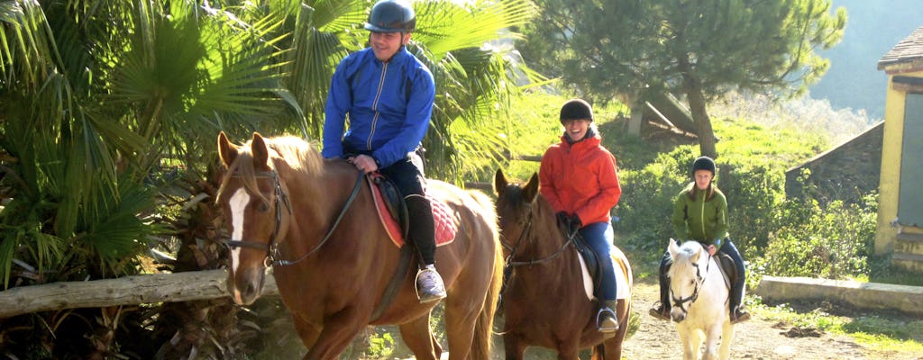 Private horseback riding tour in a nature park