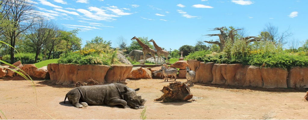 Entradas para el Bioparque Zoom de Turín