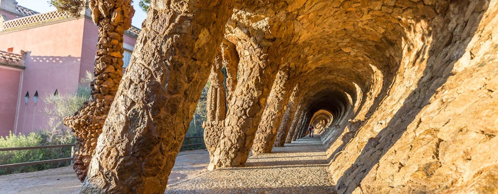 Visita guiada com acesso sem fila à Sagrada Família e ao Parque Güell