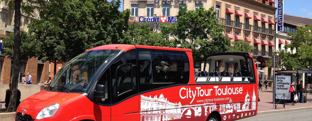 Citytour of Toulouse in panoramic minibus