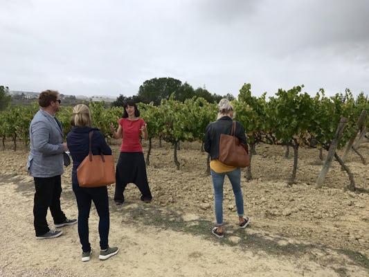 Early Morning Montserrat and unique organic Cava tasting experience at family run vineyard