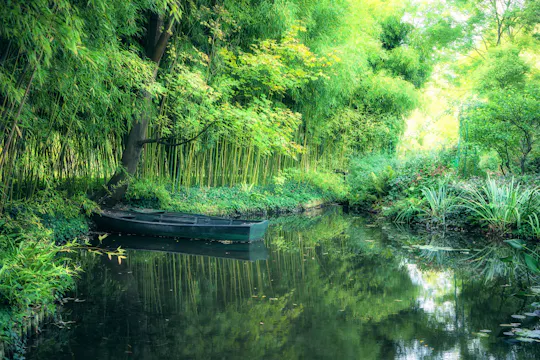 Billets pour la Maison de Monet avec transfert en bus depuis Paris