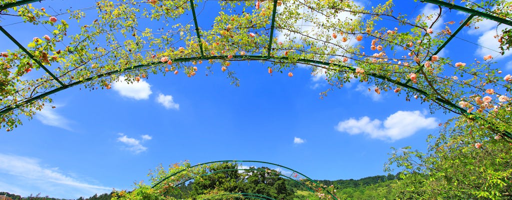 Full-Day Trip to Giverny and Claude Monet's House and Gardens from Paris