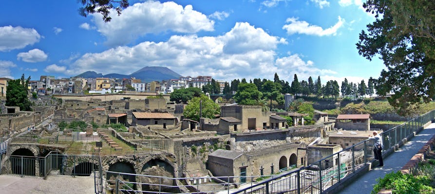 Excursión privada de 1 día a Pompeya, Vesubio y Herculano desde Nápoles