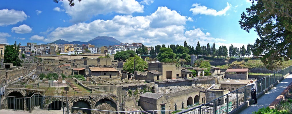Private day trip to Pompeii, Vesuvius and Herculaneum from Naples