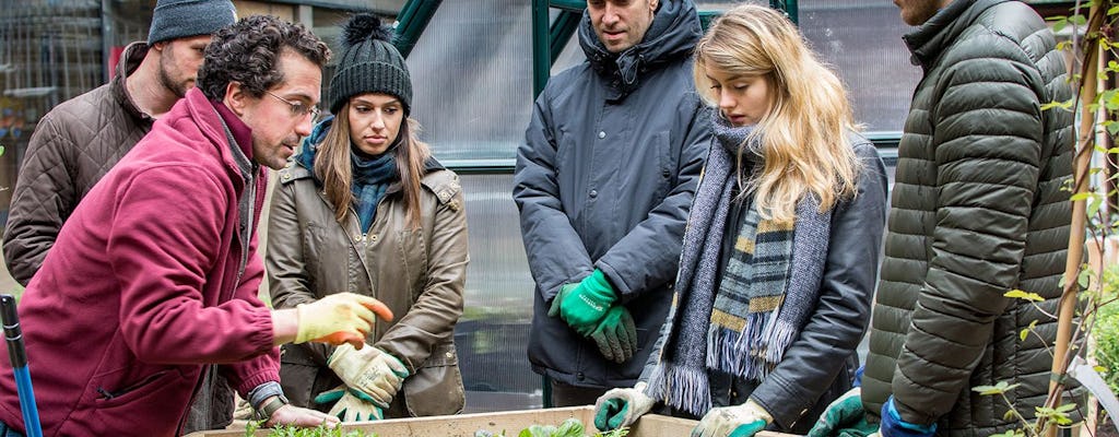 London Walking Tour: The City’s Green Thumbs