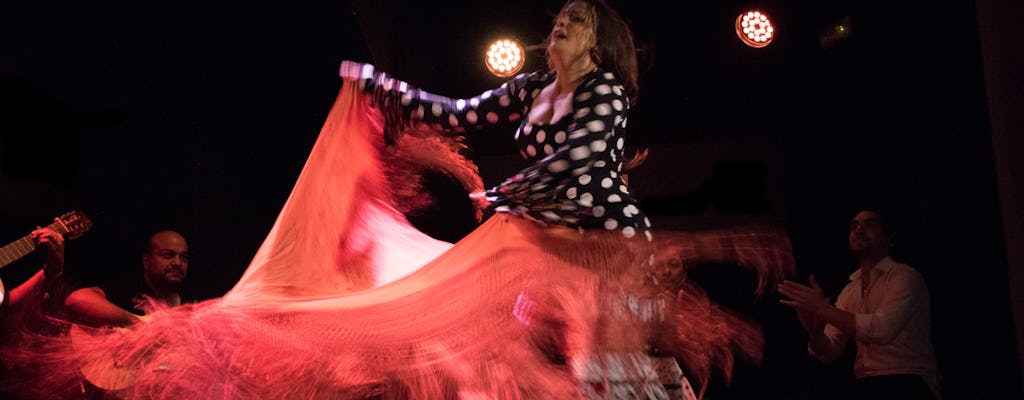 Avond tapasproeverij en Flamenco tour in Madrid