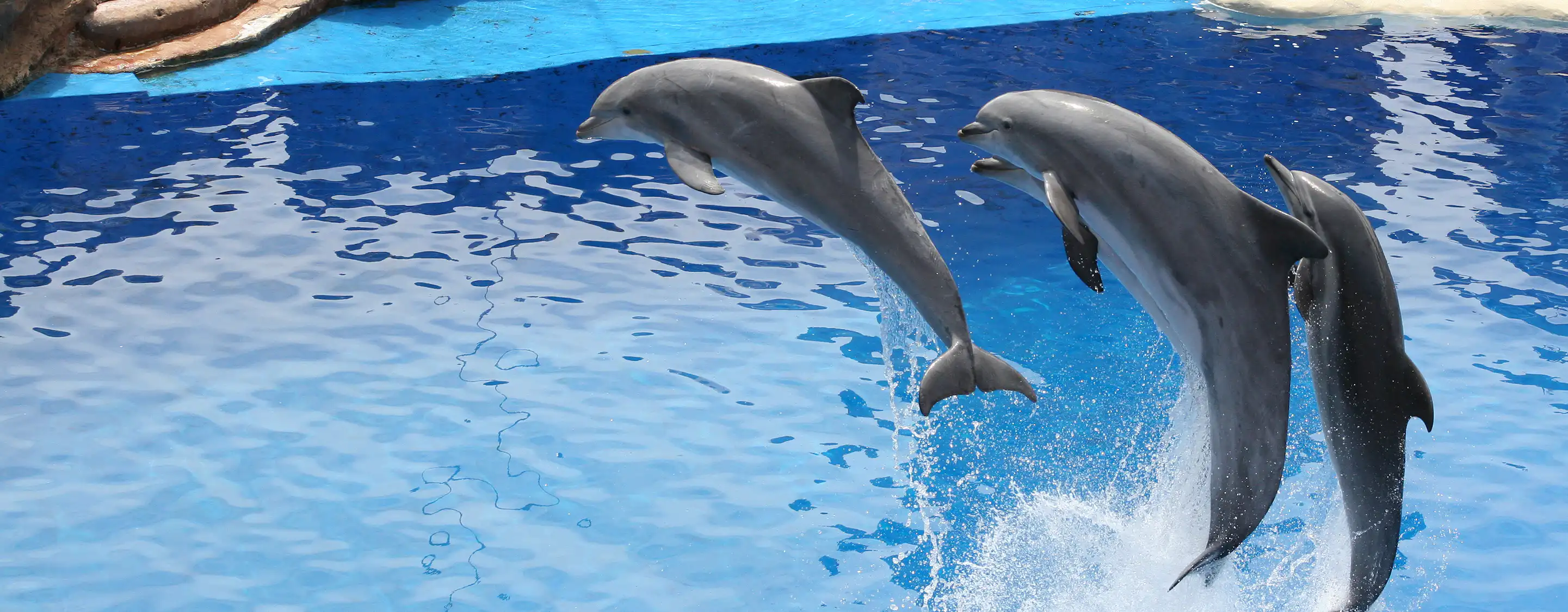 SeaWorld San Diego