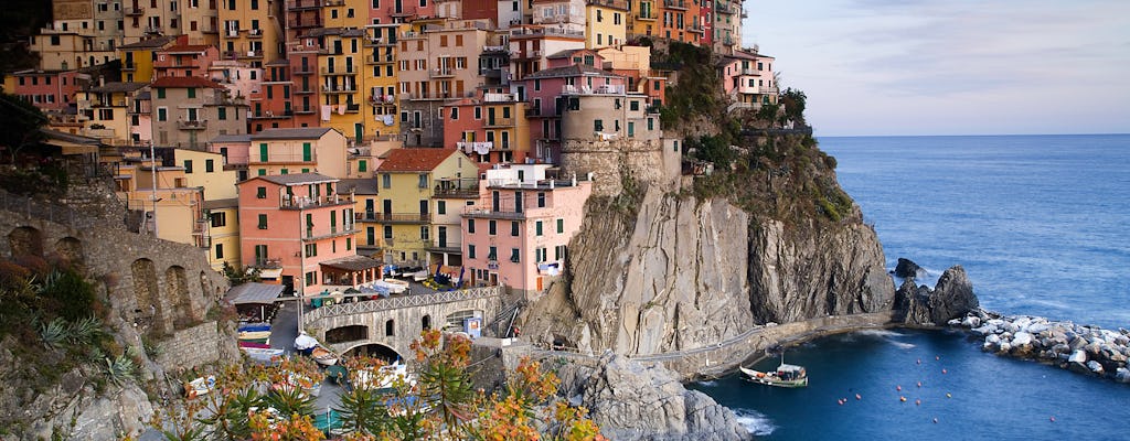 Tour privado de día completo a Cinque Terre con cata de vinos