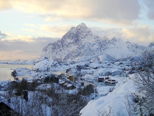 Winter 5-stündige Tour auf den Lofoten