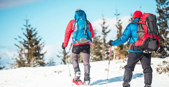 Caminhada com raquetes de neve a partir de Svolvær