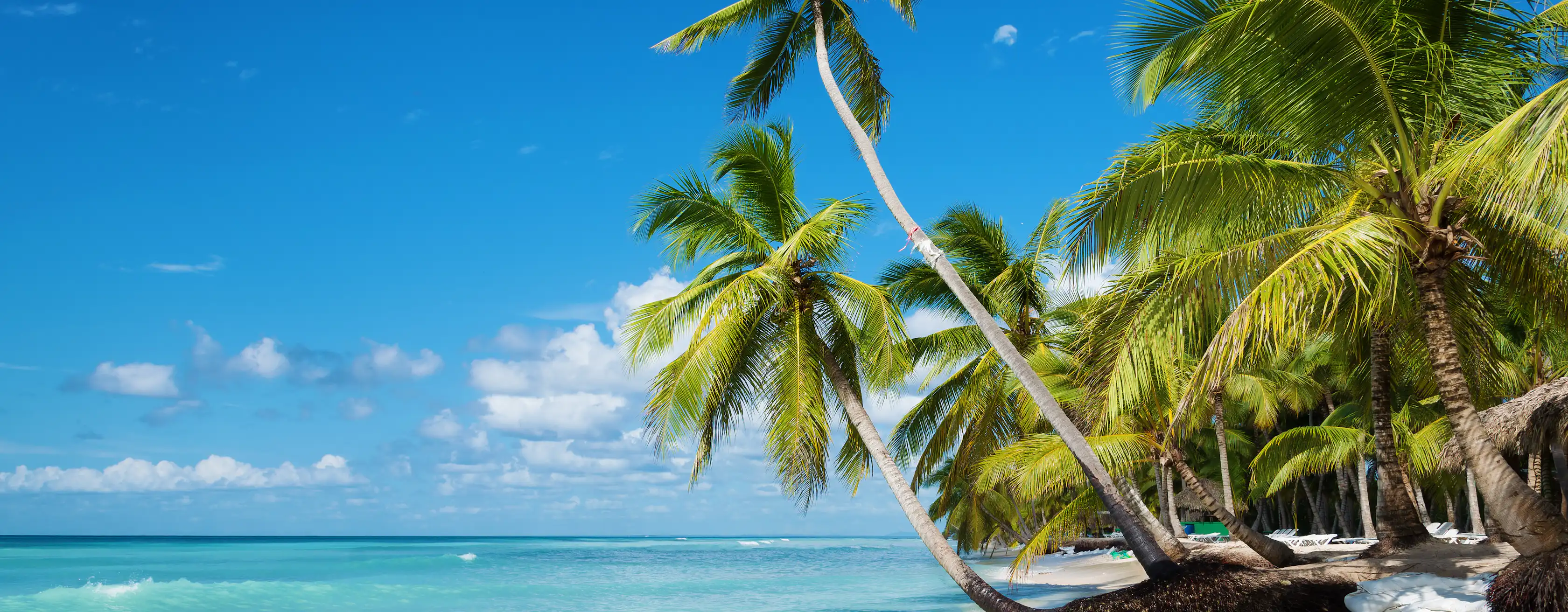 Att göra i Punta Cana