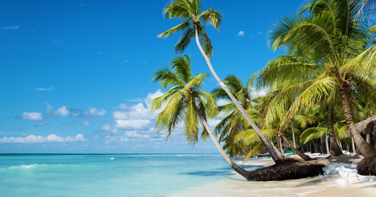 Things to do in Punta Cana: Activities and Excursions Things to do in Punta Cana: Activities and Excursions