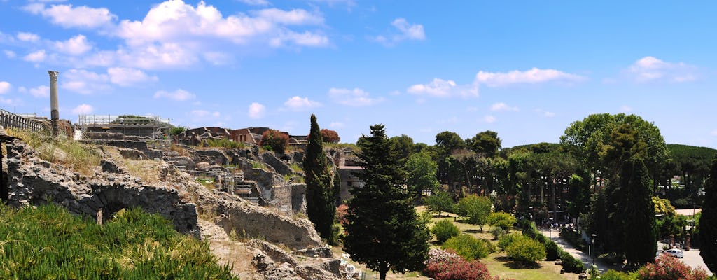 Pompei con biglietto salta fila e trasporto di andata e ritorno