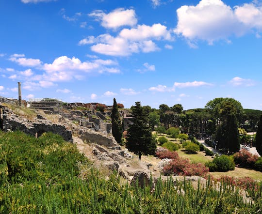 Pompei con biglietto salta fila e trasporto di andata e ritorno