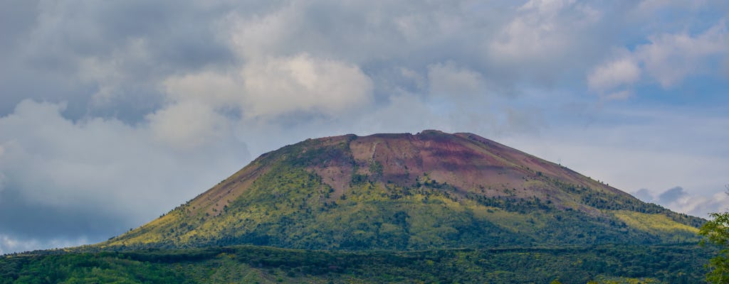 Pompeii and Mount Vesuvius tour with transportation