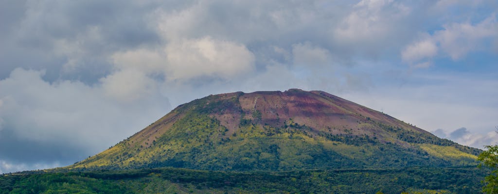 Passeio por Pompéia e Monte Vesúvio com transporte