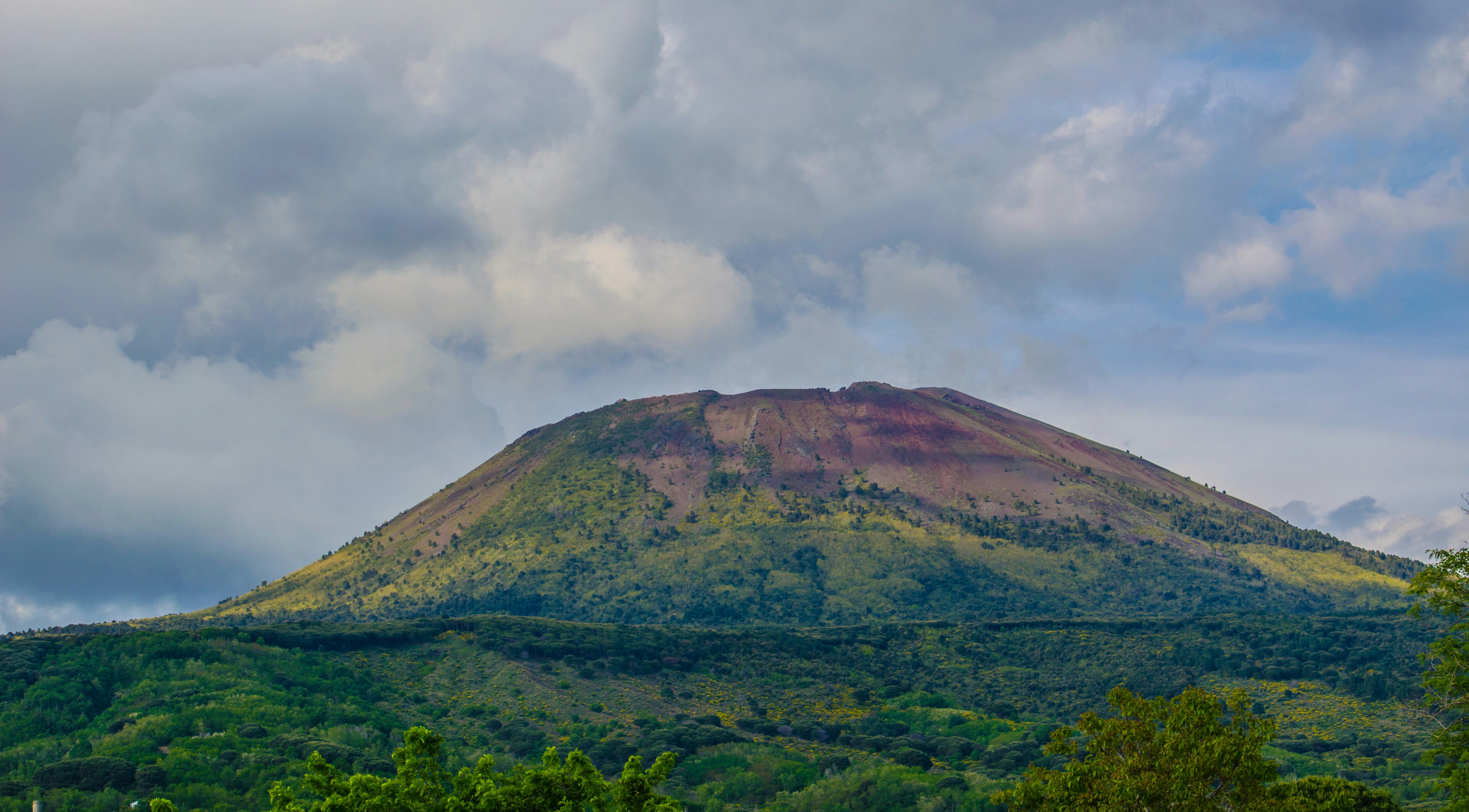 Mt Vesuvius guided tours and activities musement