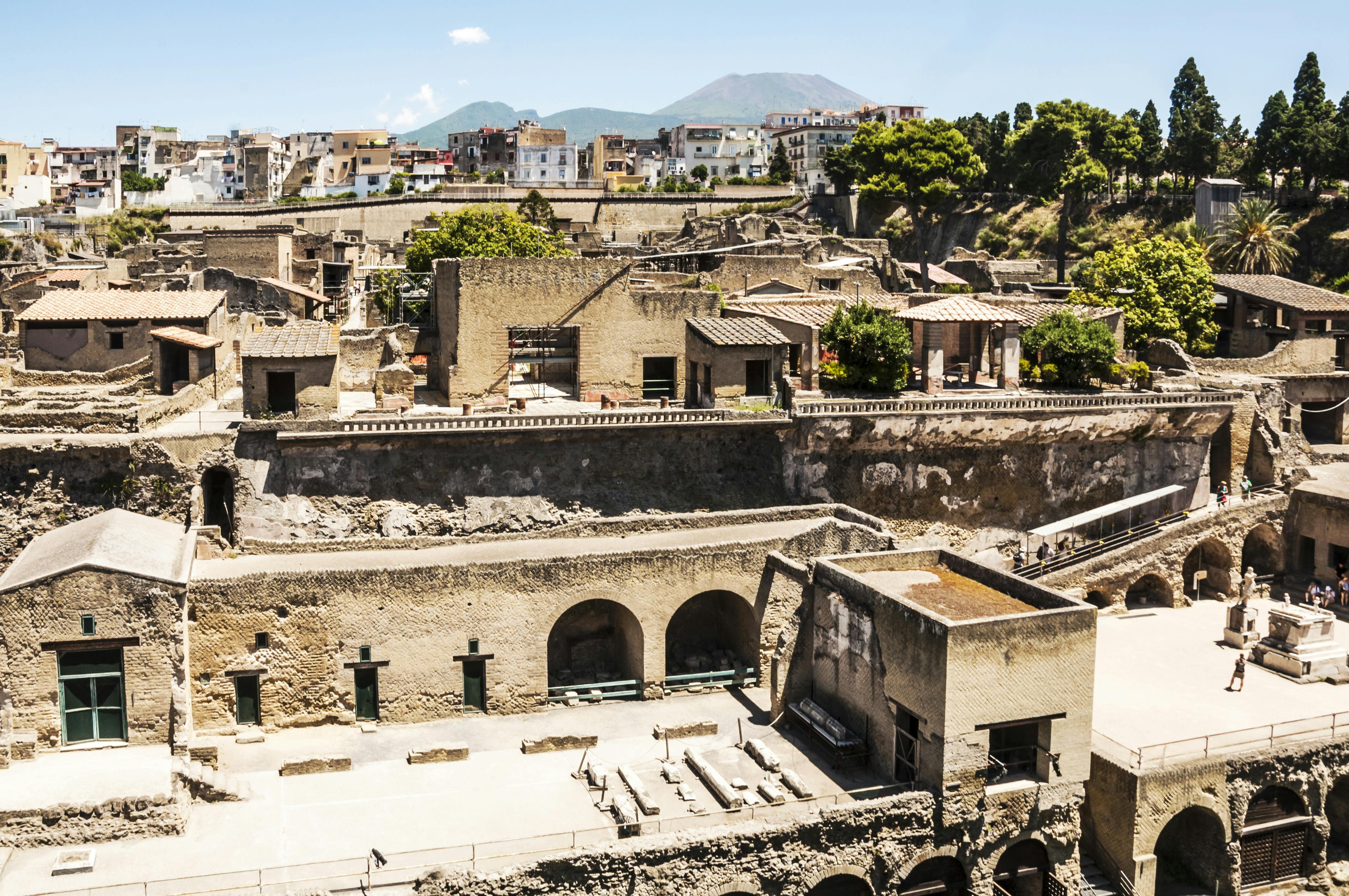 Dagtrip naar de Vesuvius en Herculaneum inclusief vervoer