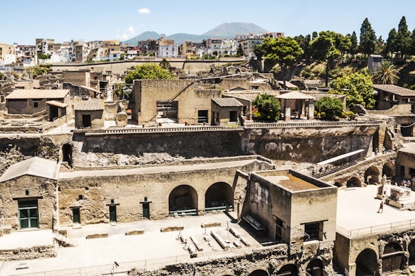 Dagtrip naar de Vesuvius en Herculaneum inclusief vervoer