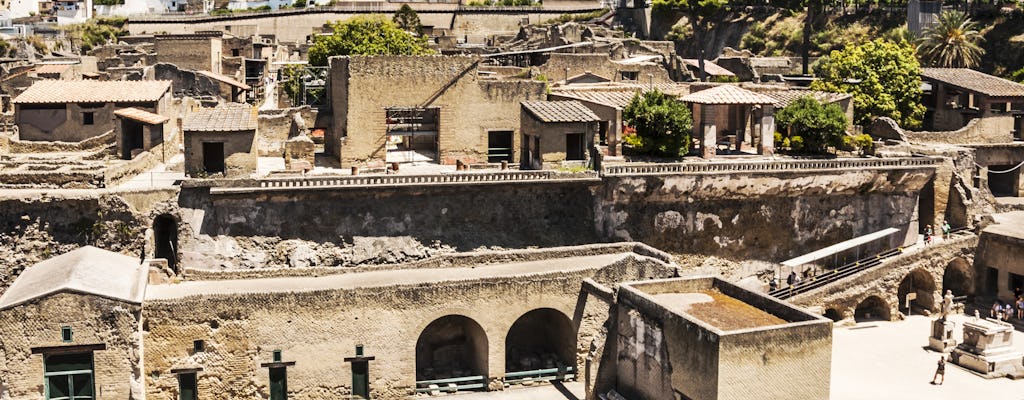 Mount Vesuvius and Herculaneum tour with transportation