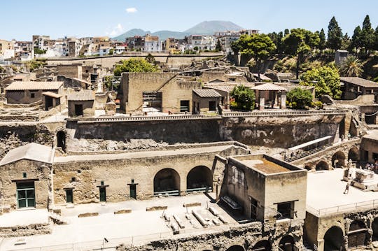 Visita al monte Vesubio y a Herculano con transporte incluido