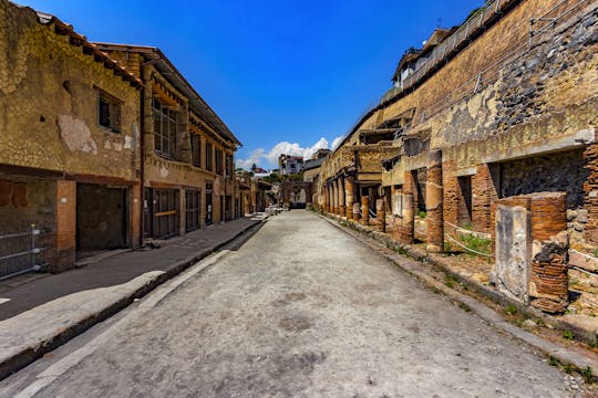 Herculaneum ruins tour with transportation